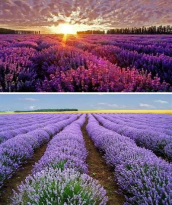 1528964475773119.png blob.png