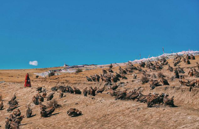 1528965346809358.png 1528965346809358.png