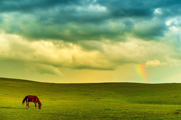 1529032875192088.png 1529032875192088.png