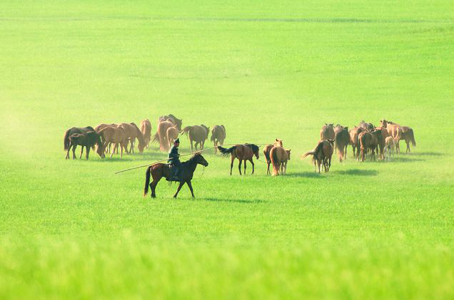 1529032894706711.png 1529032894706711.png